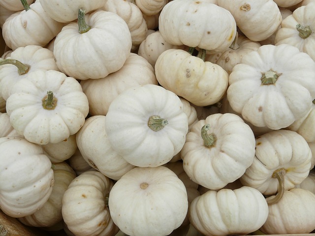THE HUNGRY HERALD FOOD BLOG - BABY BOO PUMPKINS