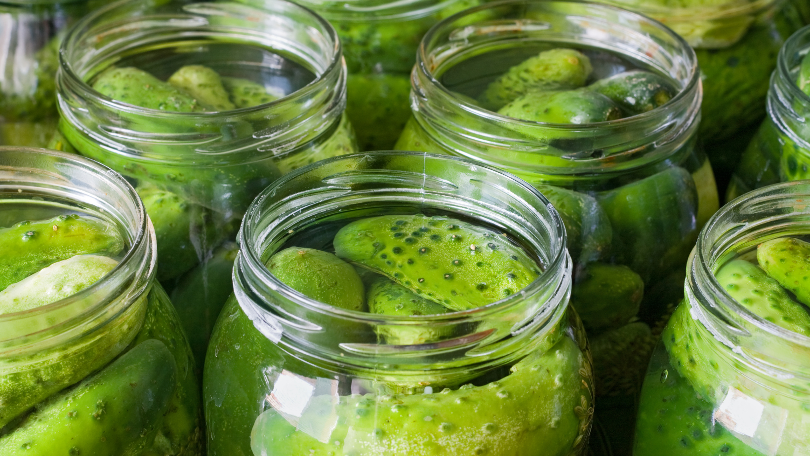 Dill Pickles in Jars National Pickle Day