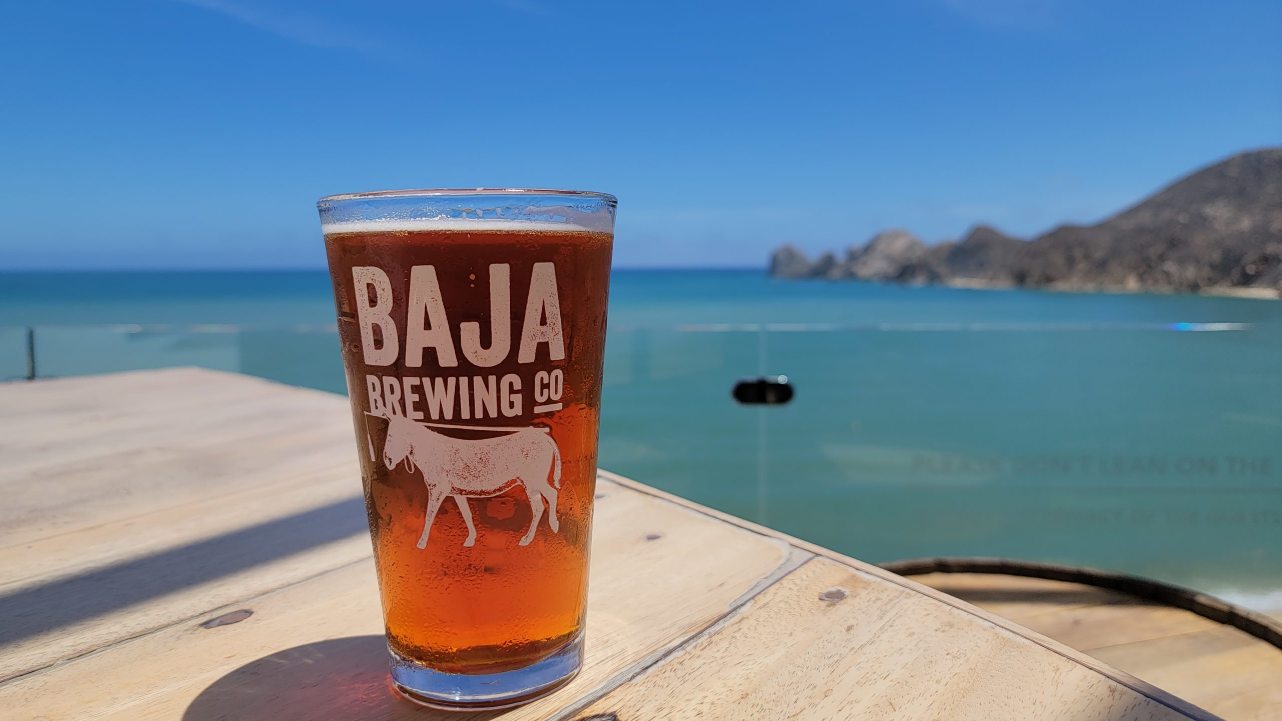 Baja Brewing Company Cabo San Lucas © The Hungry Herald. All rights reserved.