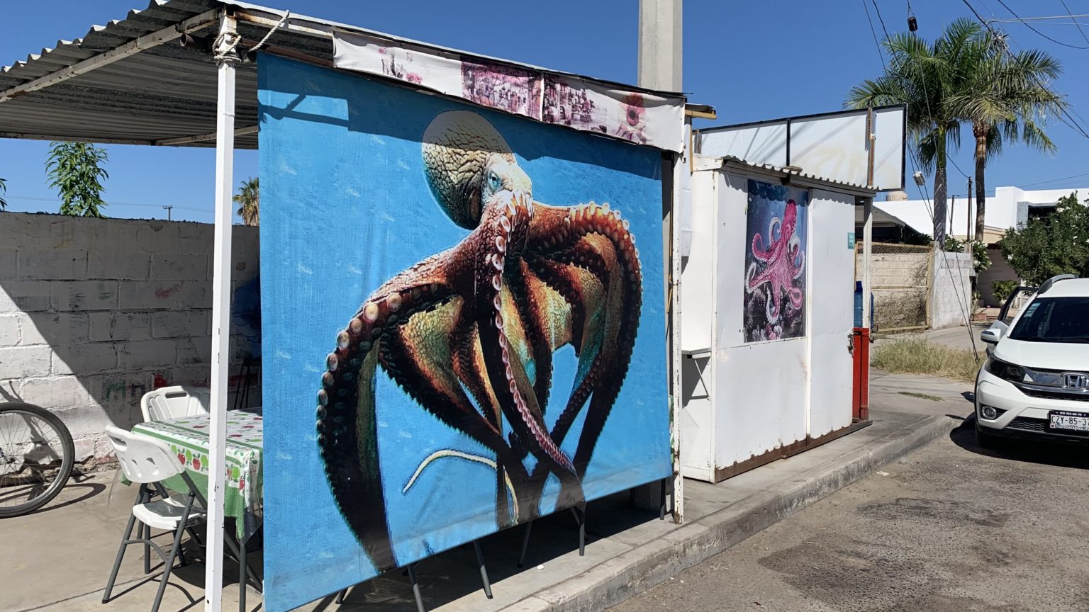 LA PAZ TACO TASTER 8 TERRIFIC TAQUERÍAS TO TRY The Hungry Herald ♨ Food Travel Blog