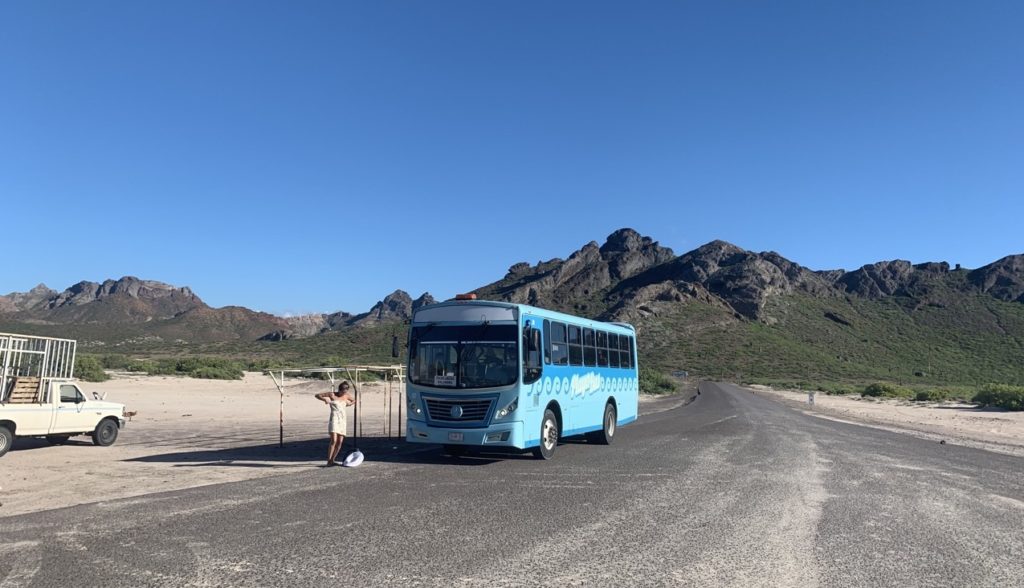 Playa Bus to Playa El Tecolote La Paz Mexico - The Hungry Herald Food Travel Blog