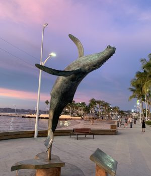 Whale Sculpture Malecon La Paz