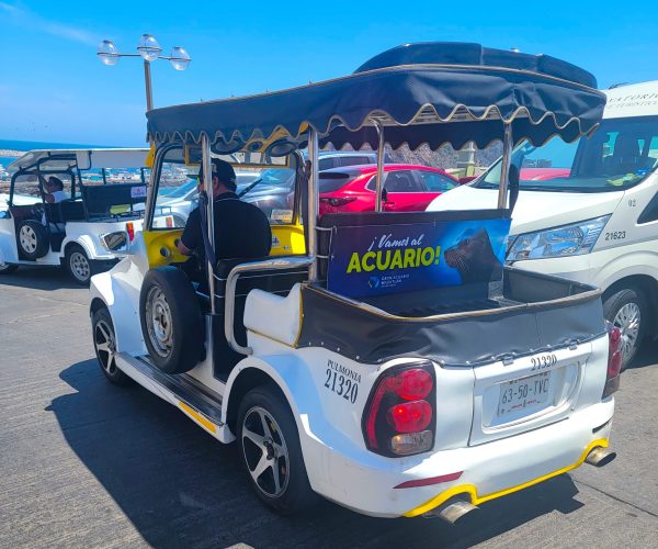 Pulmonía de Mazatlán